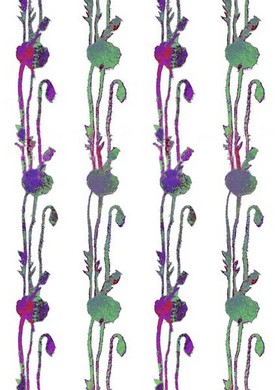 poppies 